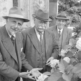 Il giardino Bruno Lattes e amici nel giardino della villa