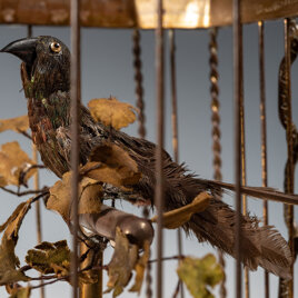 La gabbietta con l'uccellino La gabbietta con l'uccellino