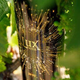 Lux Vitis