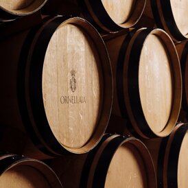 Le Botti di Ornellaia