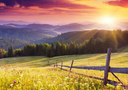 dc329ab5-1118-4af8-a615-1e206590e872