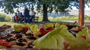 8468c454-e863-4f19-b76e-89952d3d50a8