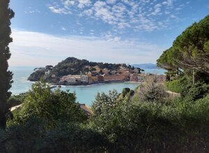 f126bd5a-720b-44b5-ab0c-f499dd366bd3