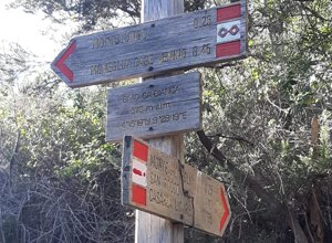 d4c002dc-524a-4415-92a7-2425ef822540