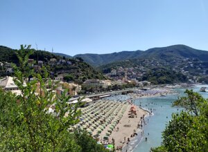 84a0ec3f-7528-4d7e-a8fa-7080708c8a7d