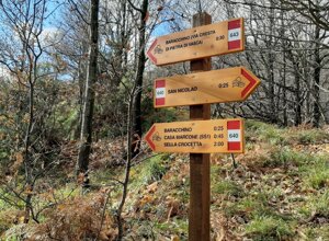 2fbf9e2c-1d8b-4736-915a-e60ddb5e794c