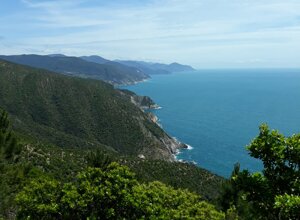 193e39f4-20f8-452d-b148-978a74d110d2