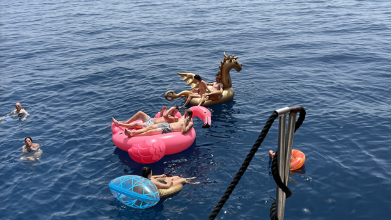 ff7efae1-3bfe-4cfd-a4ca-b9e1d06259d2