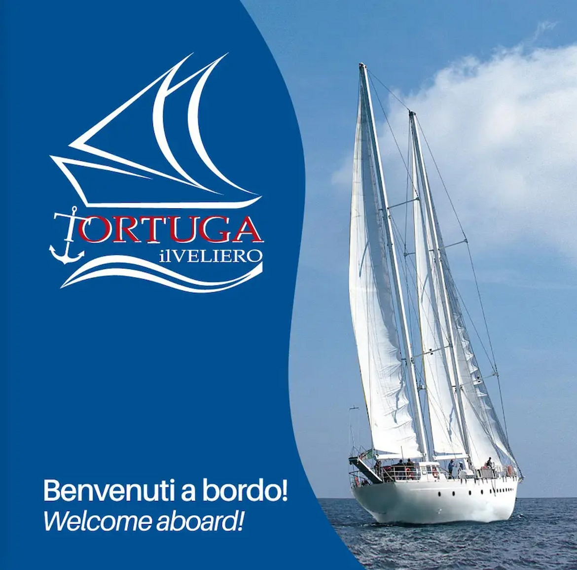 231c1406-8060-45ab-aba9-f3fdf432a403 231c1406-8060-45ab-aba9-f3fdf432a403