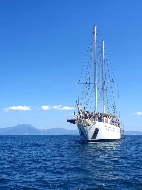 84412942-b715-48bb-a09b-b71059eb2c73 84412942-b715-48bb-a09b-b71059eb2c73