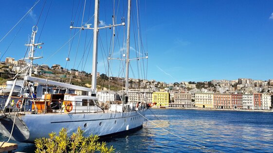 046fb428-843a-45a8-a81d-bc2727eec43c