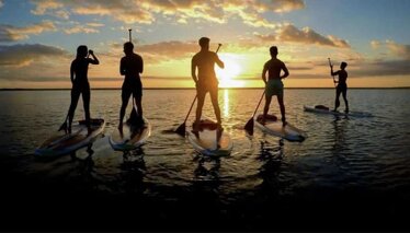 ec347f6e-de09-4460-8d73-d77612c67dca