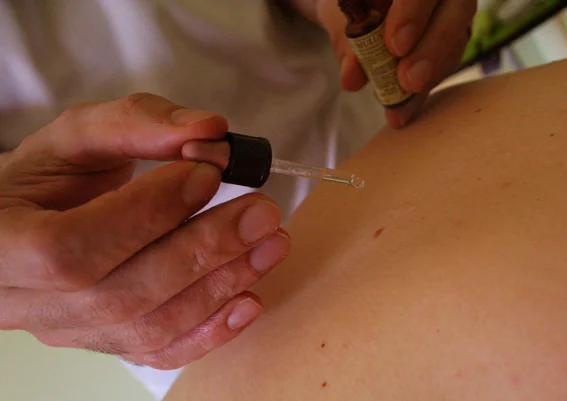 Fitoterapia di Bach presso Olistic Studio