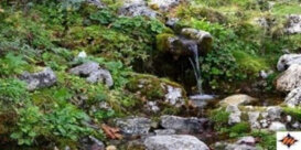 6bf9d274c3104c6eb914ff8230236912 6bf9d274c3104c6eb914ff8230236912