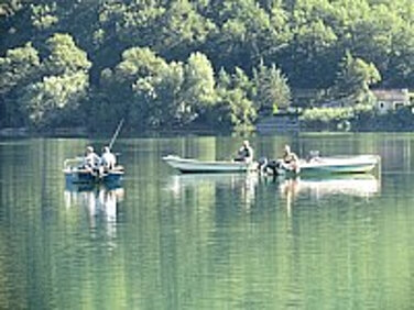 9bff7a9316a04a8a81d19673b7e3b5bd