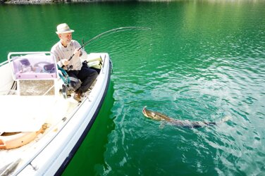 4d3cf7c5-0be9-4720-8e27-7561a37eb671