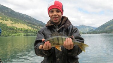 5ab83036-b31d-4bdc-8eb5-0176d84fe2ff