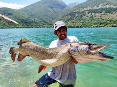 df4698ae-8c6f-4deb-85af-06dc4eefc1ba