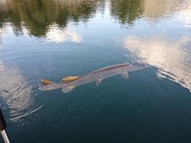 280d27d483a54f92813eecadd2ad4698