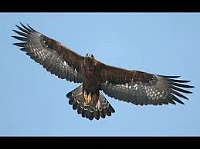 2929d326693f473aa34dc3cc7a755513