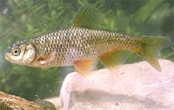 499f98eea28149b998ddbe83ded3bed3