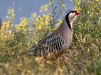 71b023098e034405ab9426887318a7b3