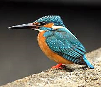 1a61ef730bf644c5afeda11fddfac127