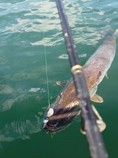 19dcc991ec0644d9808a1c38a7ecc925