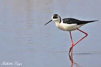 eab9eeb482aa41068c9c6a8141975bbb