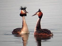 7700db12672143cfb6ab817bb2682d69