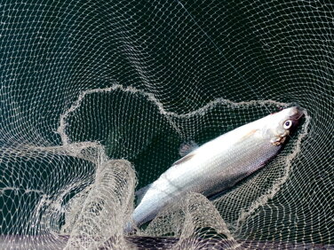 img_20160828_103452fileminimizer