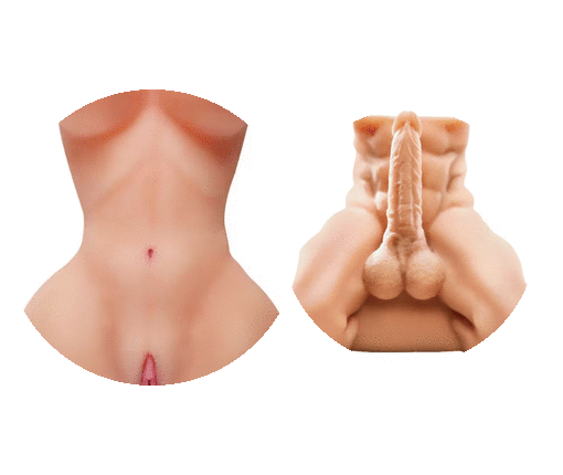 c2922082-85ba-4347-95b3-1d3e8082d1c6 c2922082-85ba-4347-95b3-1d3e8082d1c6