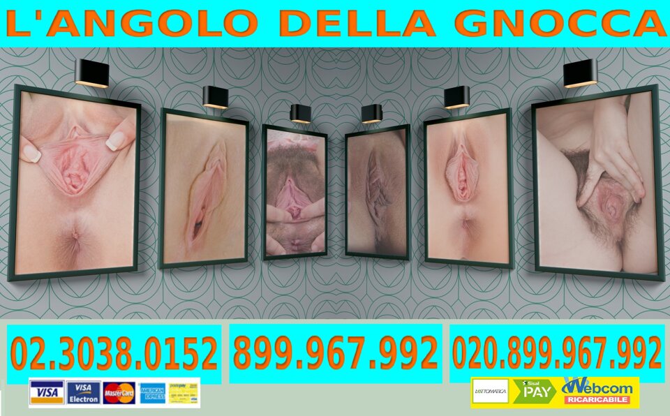 49a51e29-c4a9-4834-8b17-6859d50cad1e