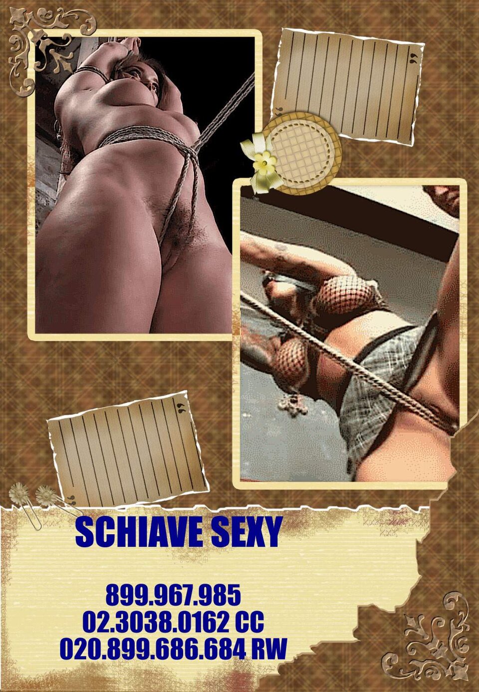 819c3bda-89df-4ef3-8381-af9ee6739dbe.jpeg 819c3bda-89df-4ef3-8381-af9ee6739dbe.jpeg