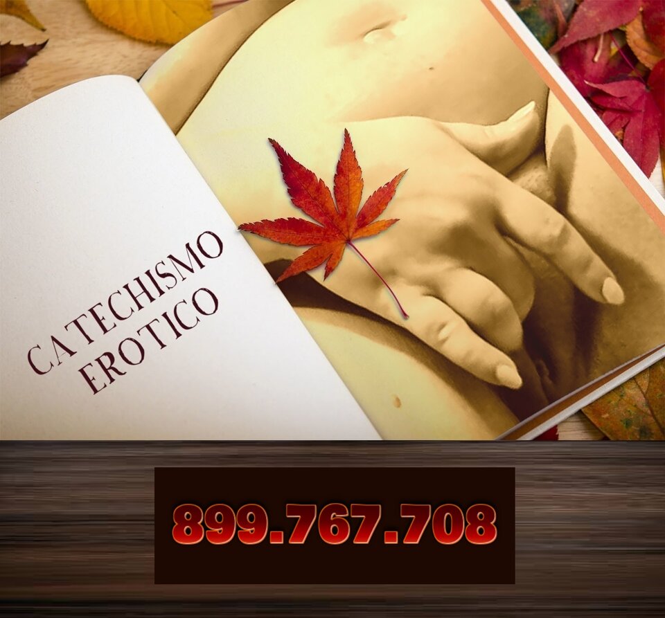 50e908c1-eb19-4b2b-b580-1a6be0d403d6 50e908c1-eb19-4b2b-b580-1a6be0d403d6