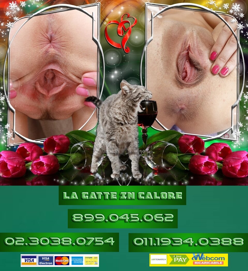 adcfca1d-ee1c-4a62-af69-2015f6431a58