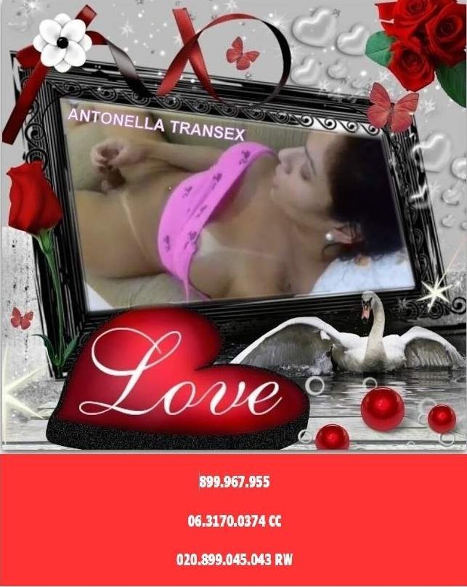 bf67f9d7-67b7-49e5-838e-c6afa1b030ad.jpeg bf67f9d7-67b7-49e5-838e-c6afa1b030ad.jpeg