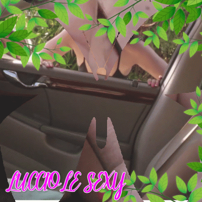 1b32e795-5fa6-426b-982f-52d0ea6e8fd9