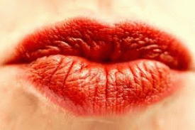 3abdebb5-5640-4628-bb6d-40306311951d 3abdebb5-5640-4628-bb6d-40306311951d