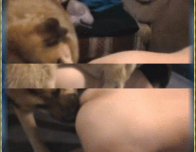 b2cc4ab9-9a7b-4953-acc9-31f74a83fb85