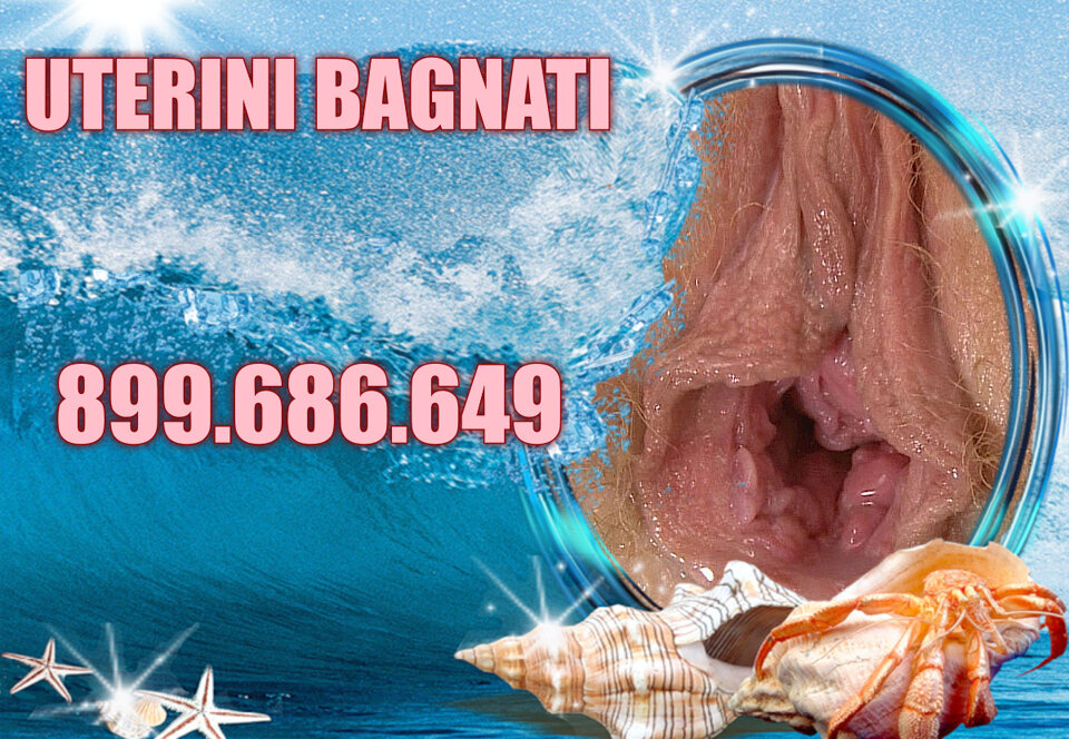 8d07657c-c4c6-4f96-85d9-2d941079bd00.jpeg 8d07657c-c4c6-4f96-85d9-2d941079bd00.jpeg