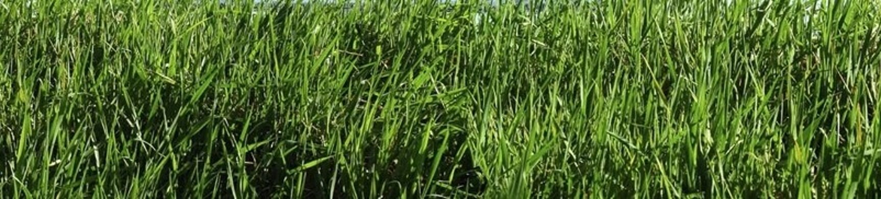 d367abb1-da52-4375-9550-050ec0a0af1d d367abb1-da52-4375-9550-050ec0a0af1d