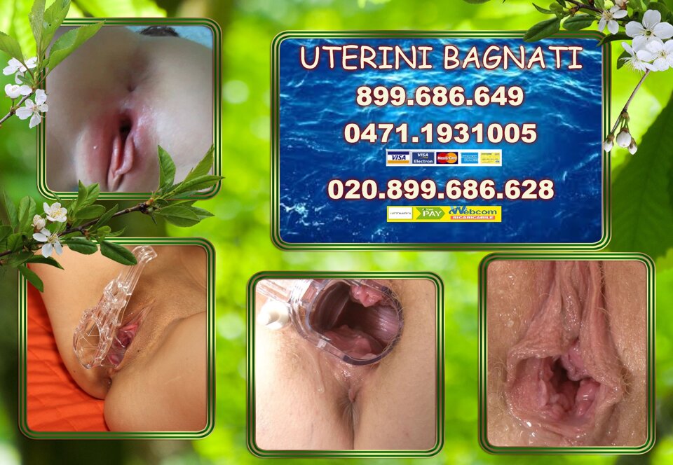 bf110ebe-97e1-4a44-8239-9b7023a28f4e.jpeg bf110ebe-97e1-4a44-8239-9b7023a28f4e.jpeg