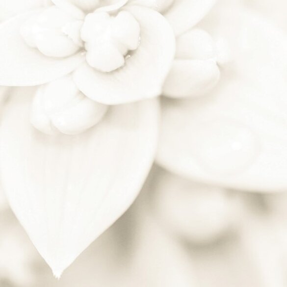 afa50e4a-58e1-4601-aa6d-7373bb6d9b20 afa50e4a-58e1-4601-aa6d-7373bb6d9b20