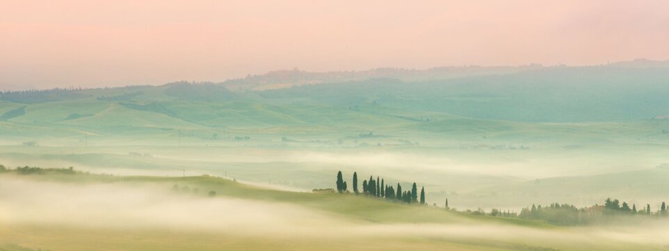 cc1fe616-dd3f-4dbc-9754-00c3204100ae