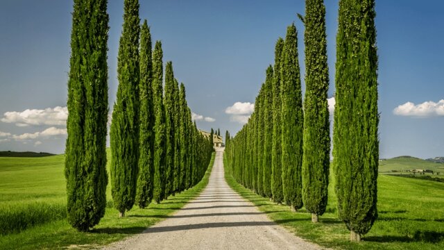 a7a307e5-d884-4be8-8db6-20d22a1d8089 a7a307e5-d884-4be8-8db6-20d22a1d8089