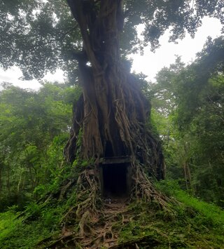 30396_6cc1bee84a77825f3b0ad81894c3cfb31a48de5c