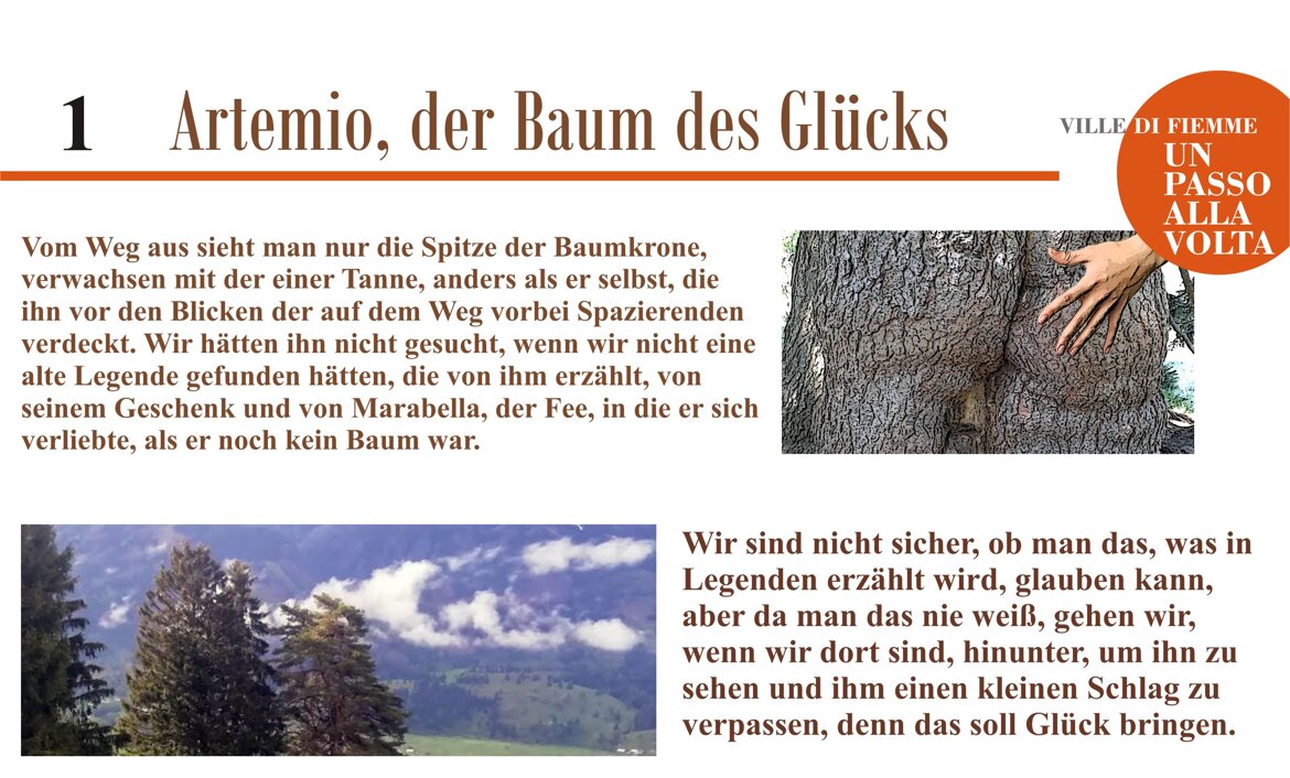 897303f3-bf14-4878-afac-bc1dcf410006