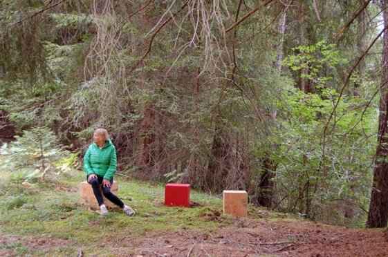 eebeeda5-2841-4b35-8adc-ff0ed174311d.jpeg eebeeda5-2841-4b35-8adc-ff0ed174311d.jpeg