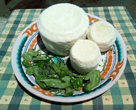 6326539b-bceb-473f-b434-02b26da7c8f5